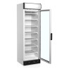 Καταψύκτης με Γυάλινη Πόρτα και Κανόπη - 270 L TEFCOLD: Βέλτιστη παρουσίαση των κατεψυγμένων προϊόντων σας