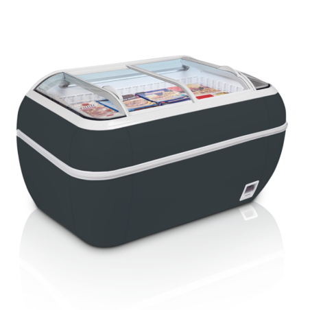 Réfrigérateur Congélateur Vitré Gris 334 L Tefcold@GeneratedValue Réfrigérateur Congélateur Vitré Gris 334 L Tefcold@GeneratedValue