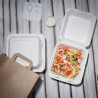 Αποικοδομήσιμες θήκες Bagasse 223mm - Πακέτο 200 τεμαχίων, οικολογικές