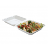 Κουτί γεύματος Bagasse 1 Θήκη - Πακέτο 50