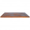 Κάλυμμα Προστασίας G1, G2, G3, G4 Corten - ARTISS